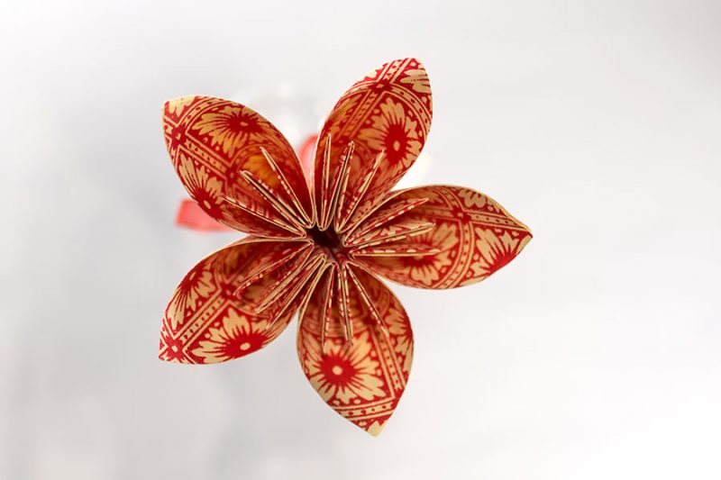 Flor Mizūmi vermell formes